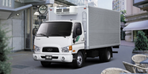 HYUNDAI HD 65